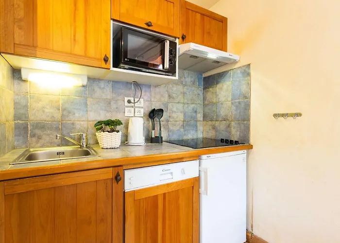 Appartement Au Centre Avec Piscine Et Sauna, Wi-Fi Inclus - Fr-1-296-422 *